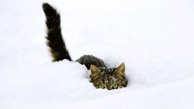 Синоптики предупредили о снегопадах и сильных морозов на выходных Синоптики предупредили о снегопадах и сильных морозов на выходных