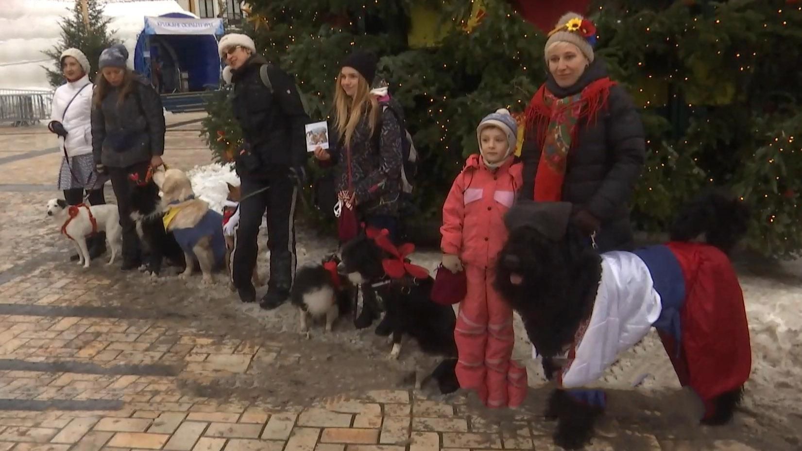 В столиці пройшла "чотирилапа Маланка" В столиці пройшла "чотирилапа Маланка"