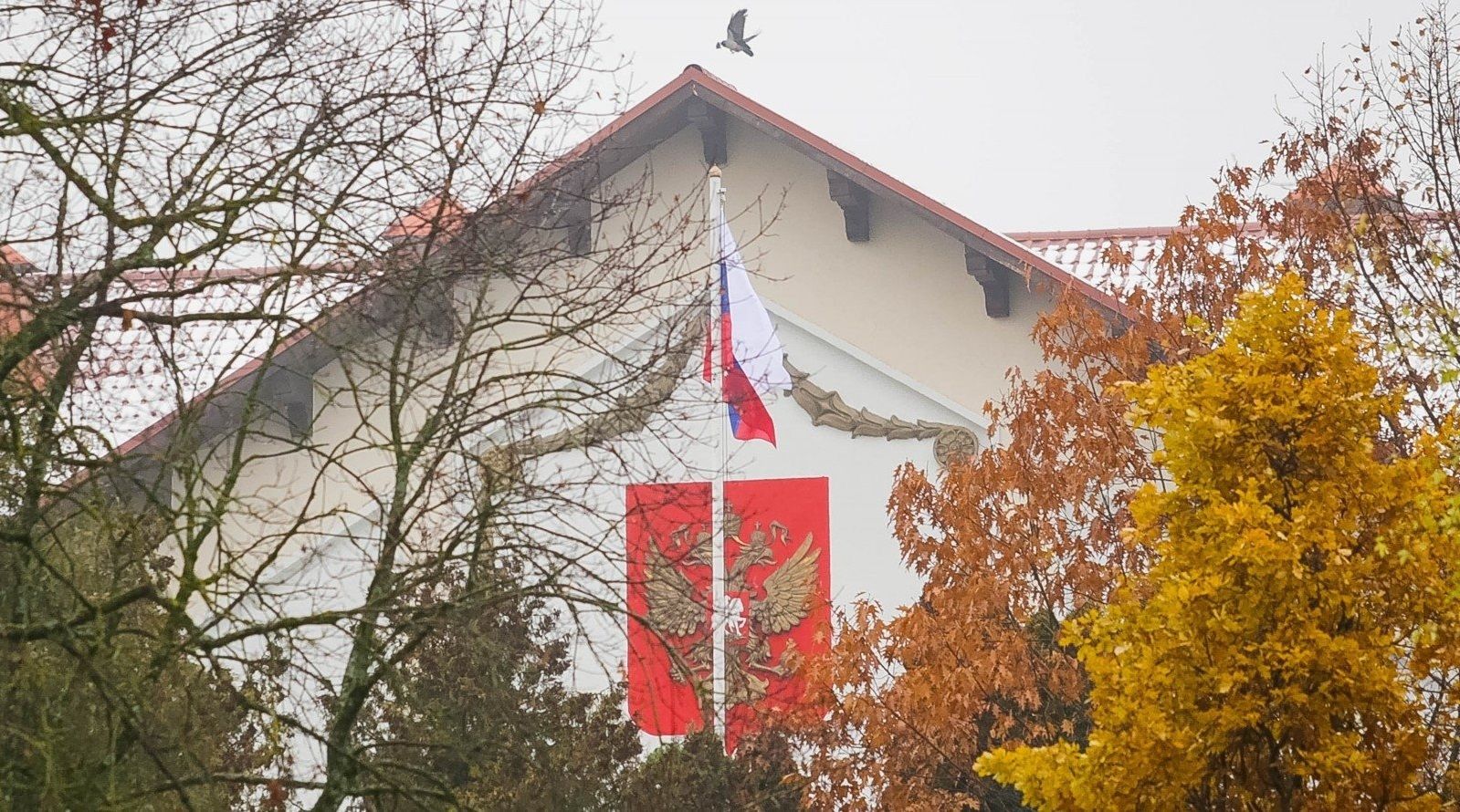 Представництво Росії в Литві закидали яйцями Представництво Росії в Литві закидали яйцями