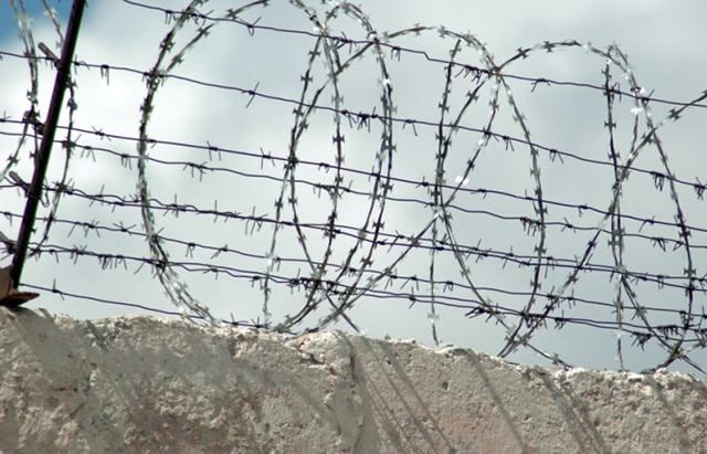 Клопы и тараканы в еде: нечеловеческие условия в СИЗО Симферополя Клопы и тараканы в еде: нечеловеческие условия в СИЗО Симферополя