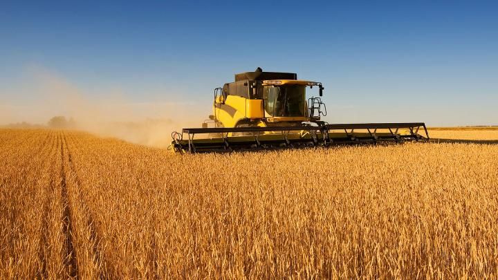 Украина собрала рекордный урожай зерновых - 16 января 2017 - Телеканал новин 24