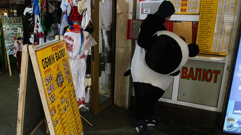 Наличный курс валют 16 января: евро стоит более 30 гривен, доллар близко