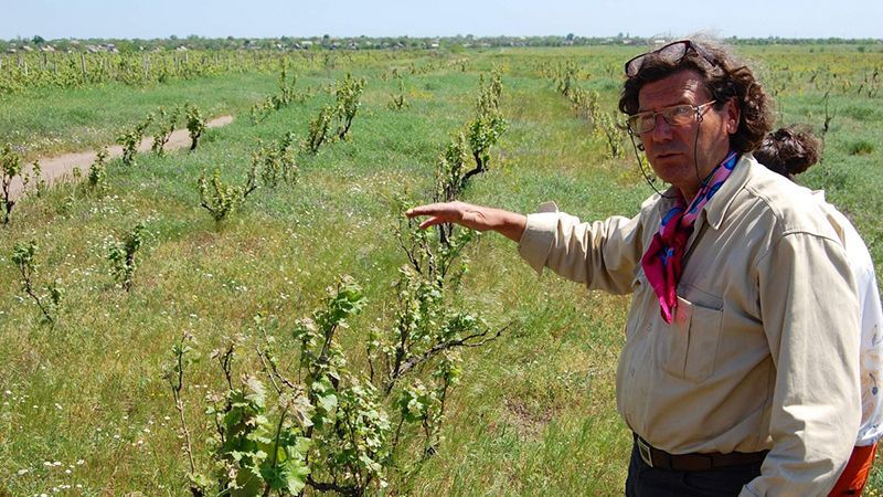 В Одесской области обстреляли двор французского винодела