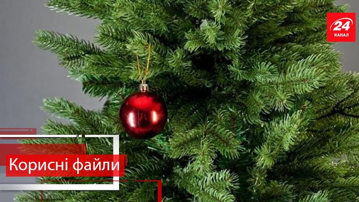 Корисні файли. Як можна використати святкову ялинку з користю
