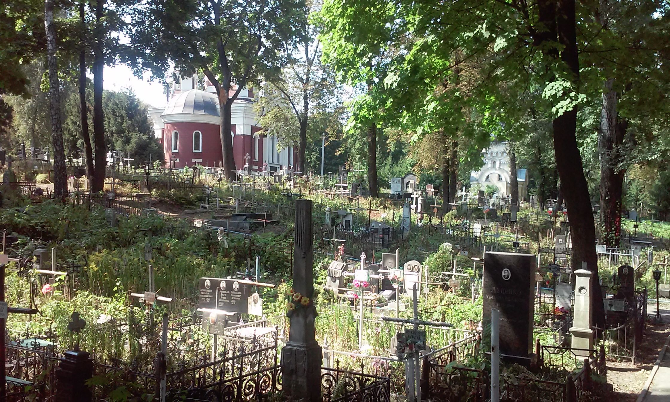 Олеся перезахоронят в Киеве – правительство выделило деньги Олеся перезахоронят в Киеве – правительство выделило деньги