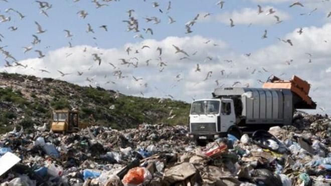 Активисты устроили драку из-за мусора во львовской мэрии