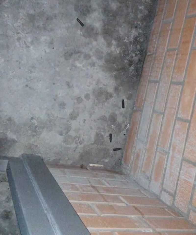 В Харькове агрессивные мужчины обстреливали улицу В Харькове агрессивные мужчины обстреливали улицу