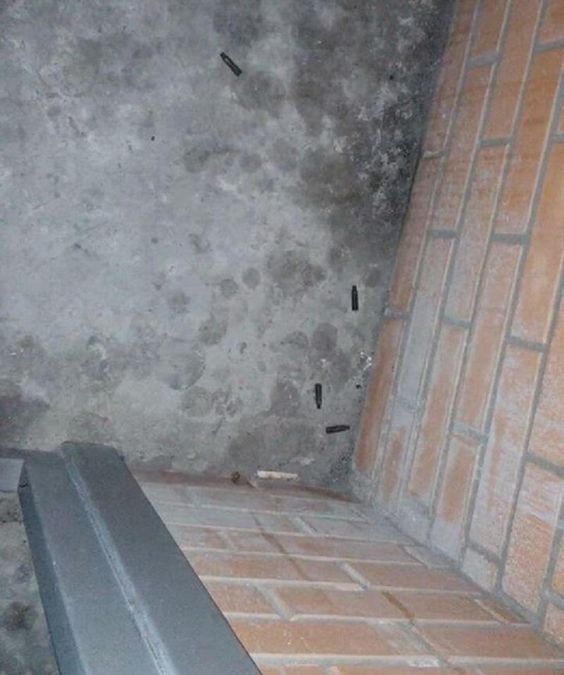 В Харькове агрессивные мужчины обстреливали улицу В Харькове агрессивные мужчины обстреливали улицу