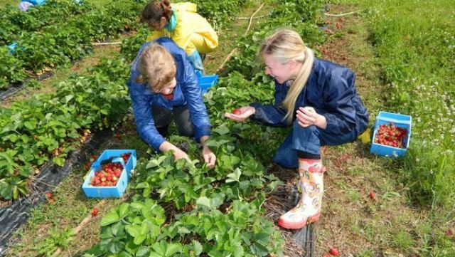 Польща потребує робітників-українців – в країні бракує робочих рук Польща потребує робітників-українців – в країні бракує робочих рук