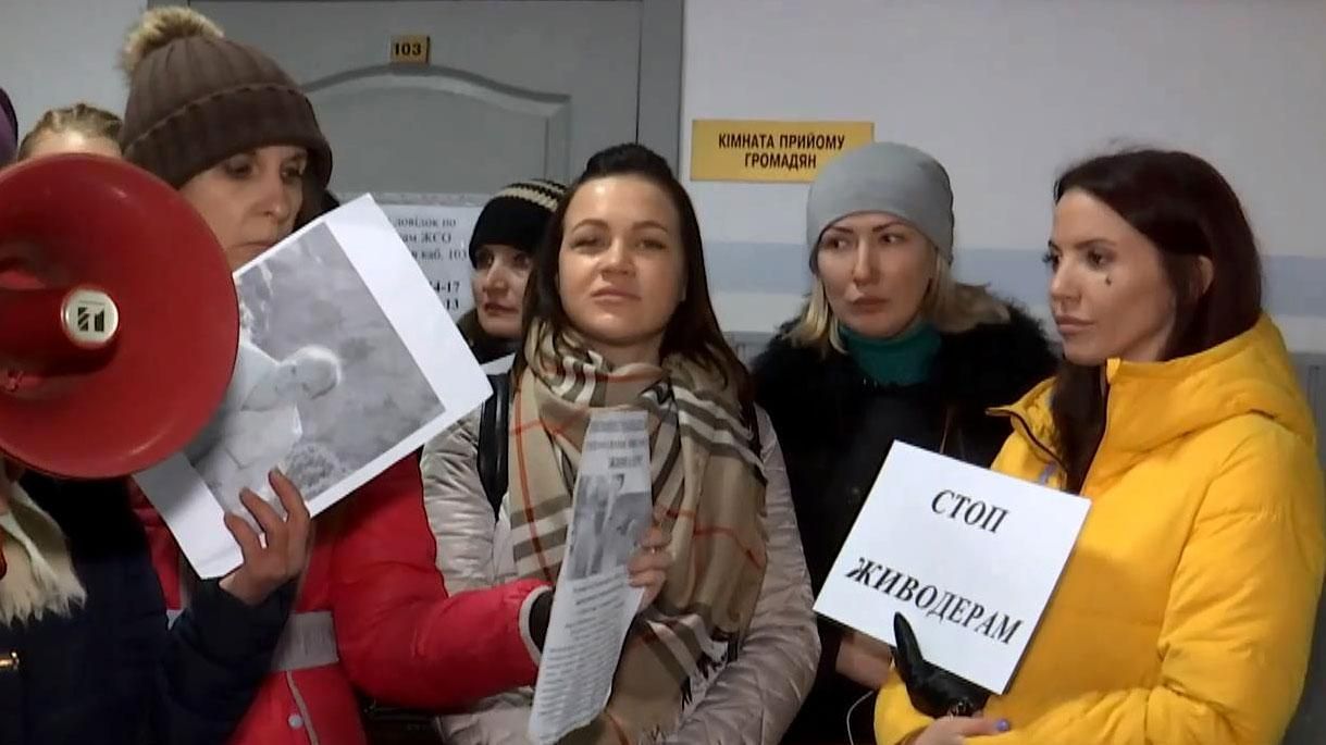 Масові вбивства тварин: у поліції розповіли, коли покарають догхантерів Масові вбивства тварин: у поліції розповіли, коли покарають догхантерів