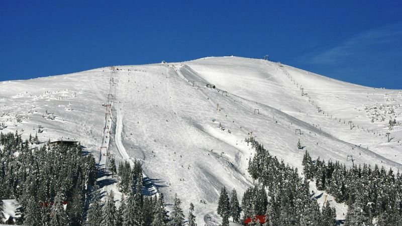 Рятувальна операція в Карпатах: шукають зниклого туриста Рятувальна операція в Карпатах: шукають зниклого туриста