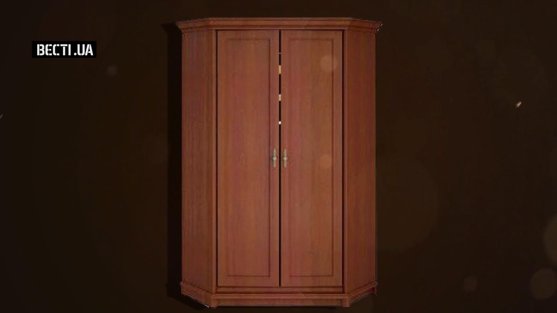 Чому закарпатський коп заховався у шафі від активістів: кумедні версії
Чому закарпатський коп заховався у шафі від активістів: кумедні версії