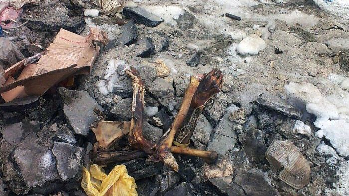 Людський скелет знайшли в центрі Одеси Людський скелет знайшли в центрі Одеси