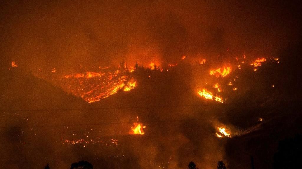 Стихійні пожежі в Чилі забрали життя 10 людей: моторошні фото 