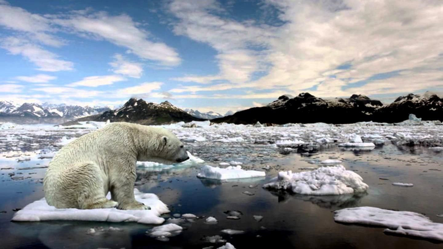Как глобальное потепление изменило температуру на Земле: опубиликовано видео