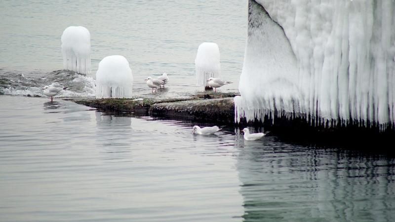 Известная набережная в Одессе покрылась льдом: появились впечатляющие фото Известная набережная в Одессе покрылась льдом: появились впечатляющие фото