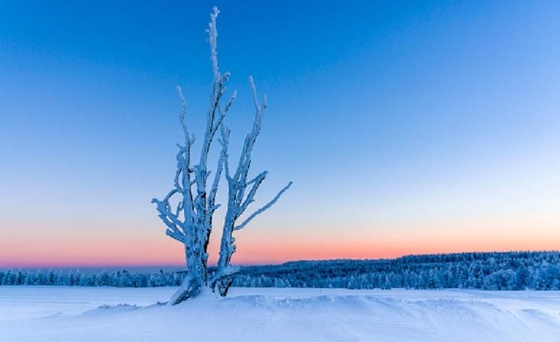 До мінус 28: частину України охоплять сильні морози До мінус 28: частину України охоплять сильні морози