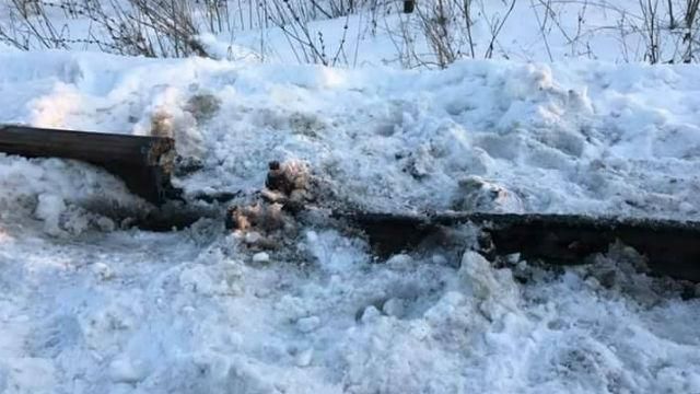 Появились партизаны, которые помогают блокировать торговлю с оккупацией, – Семенченко Появились партизаны, которые помогают блокировать торговлю с оккупацией, – Семенченко