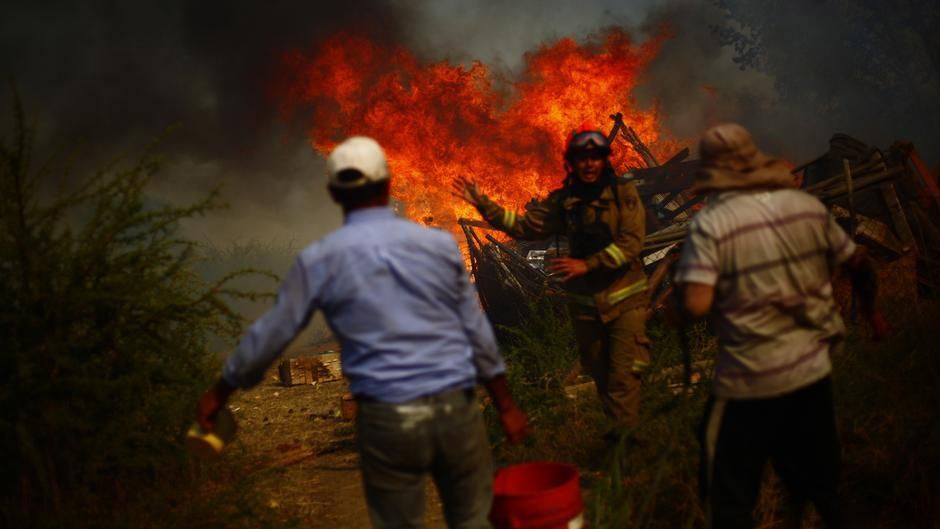 В Чили пламя охватило более полумиллиона гектаров лесов В Чили пламя охватило более полумиллиона гектаров лесов