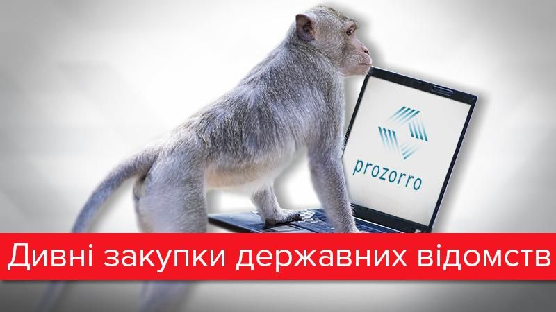 Іграшки, хрести і труни: найдивніші закупівлі на ProZorro