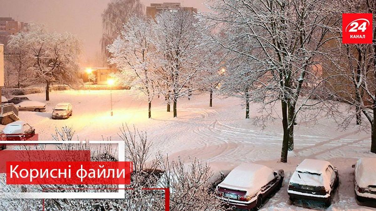 Корисні файли. Як вберегти авто від крадіїв взимку: дієві поради