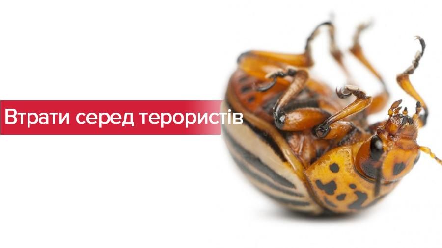 В штабе АТО сообщили о многочисленных потерях среди террористов в Авдеевке В штабе АТО сообщили о многочисленных потерях среди террористов в Авдеевке