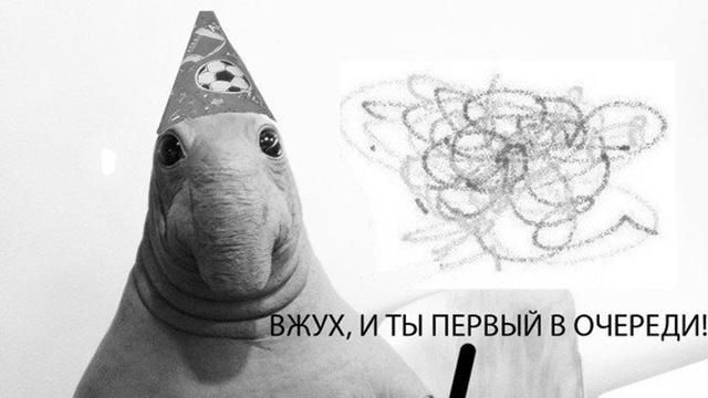 "Почекун" та день друзів Савченко: найсмішніші меми за тиждень 