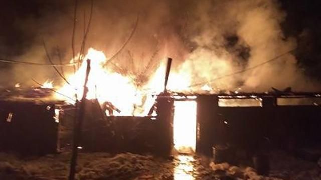 Во Львове сгорел приют для собак: 300 животным нечего есть Во Львове сгорел приют для собак: 300 животным нечего есть