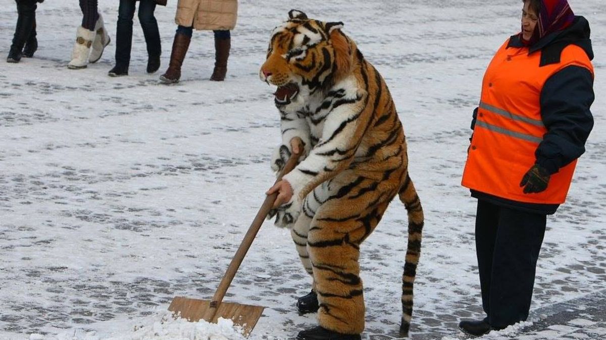 Киев засыпало снегом: в соцсетях делятся фотографиями непогоды Киев засыпало снегом: в соцсетях делятся фотографиями непогоды