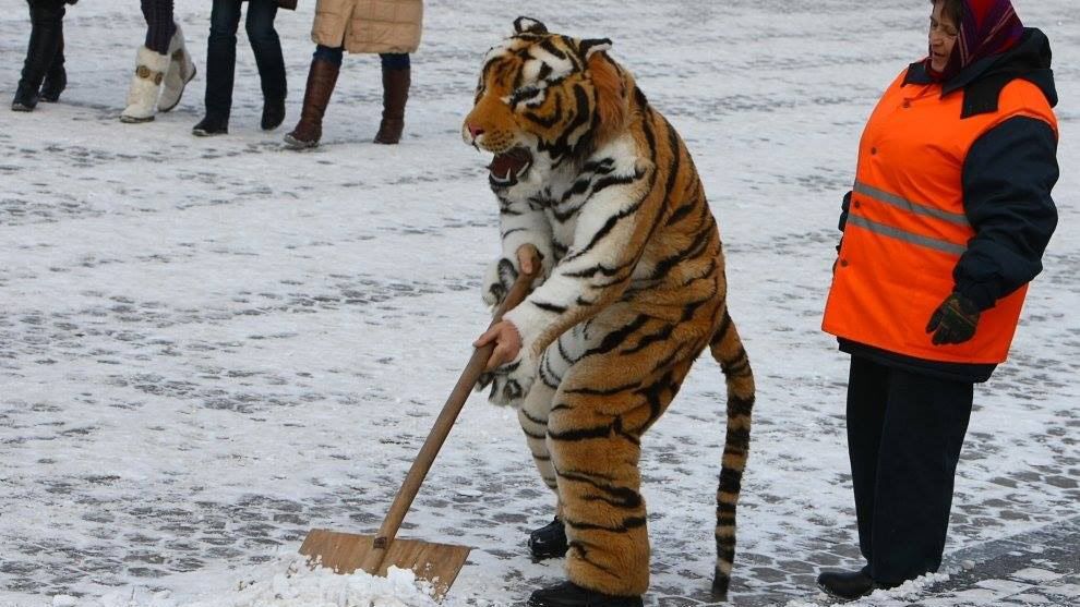 Киев засыпало снегом: в соцсетях делятся фотографиями непогоды