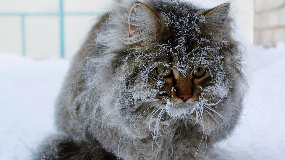 Синоптики обещают до -26 градусов мороза Синоптики обещают до -26 градусов мороза