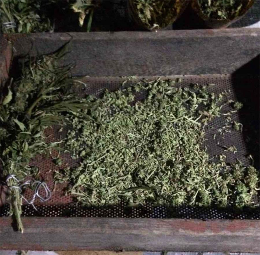 Украинская полиция борется не с наркомафией, а с наркозависимыми, — правозащитники