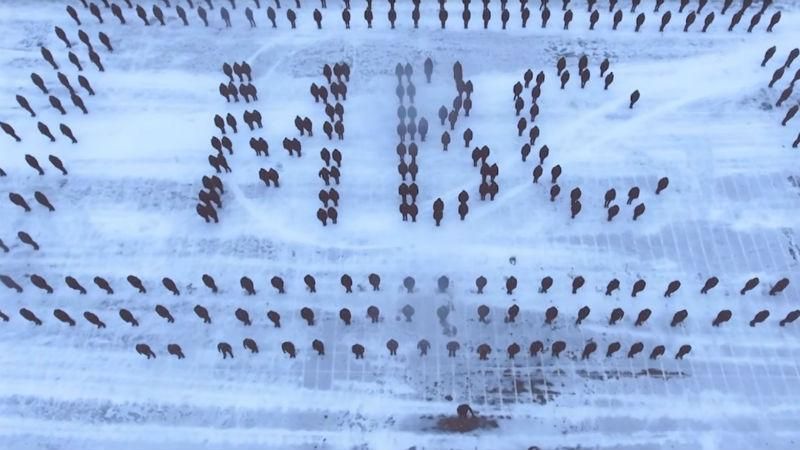 Аж дыхание перехватывает. Курсанты эффектно присоединились к флешмобу Аж дыхание перехватывает. Курсанты эффектно присоединились к флешмобу