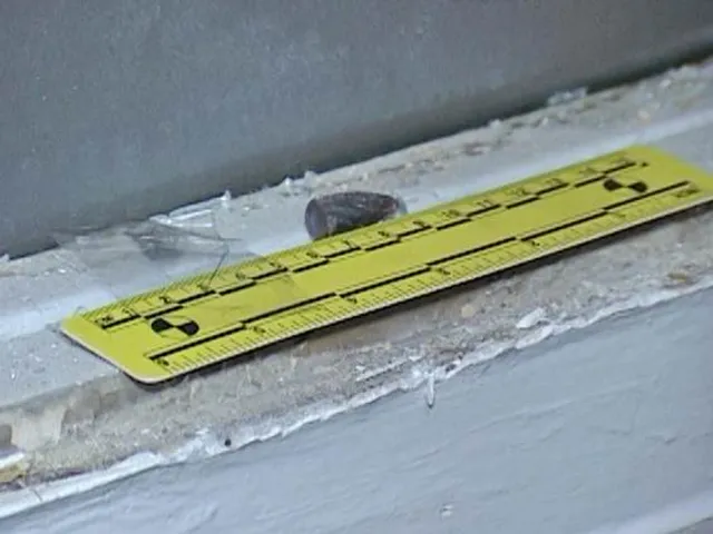 Куля, обстріл, суд, Київ Куля, обстріл, суд, Київ