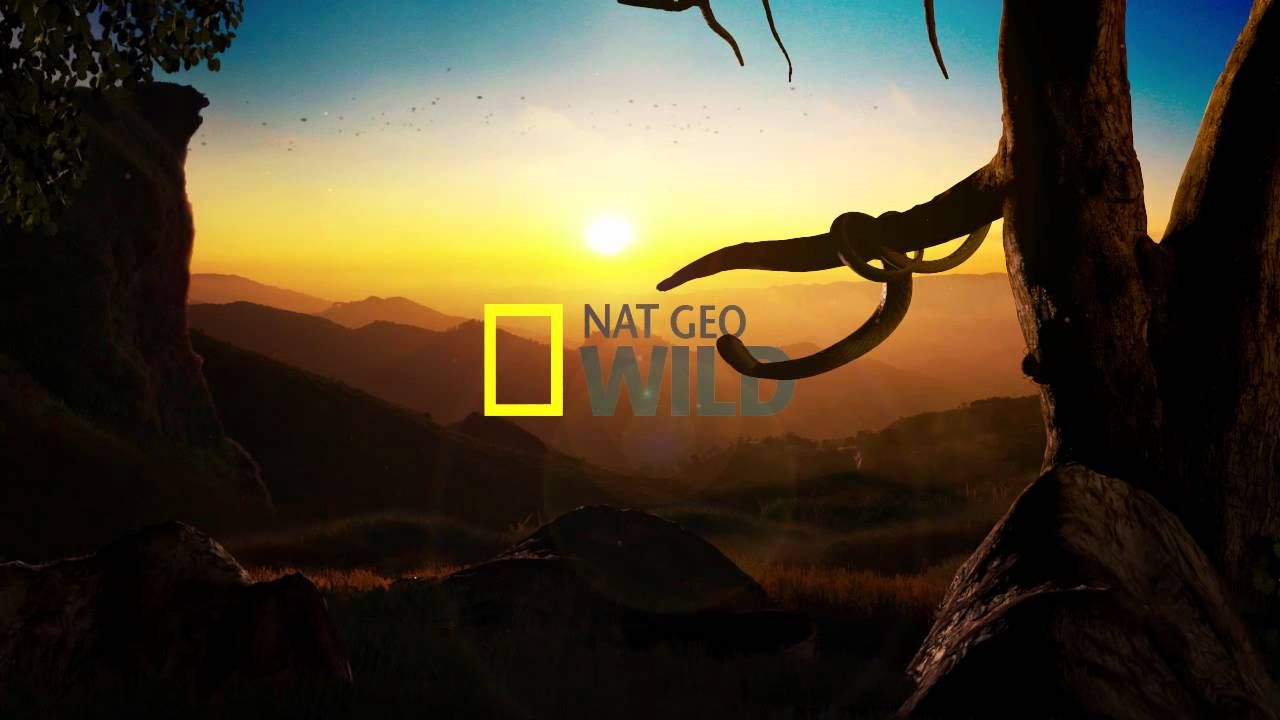 Канал National Geographic отныне будет транслироваться на украинском