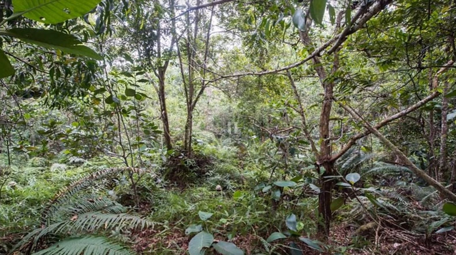 Найди всех: новая интернет-загадка с британскими гвардейцами покоряет сеть Найди всех: новая интернет-загадка с британскими гвардейцами покоряет сеть