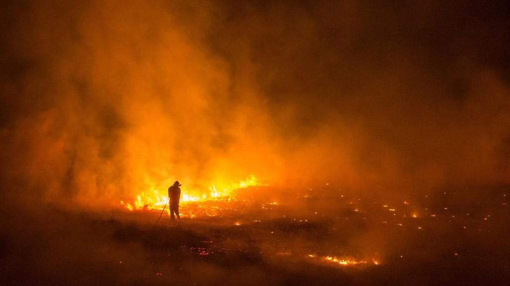 Экстремальная жара вызвала лесные пожары в Австралии