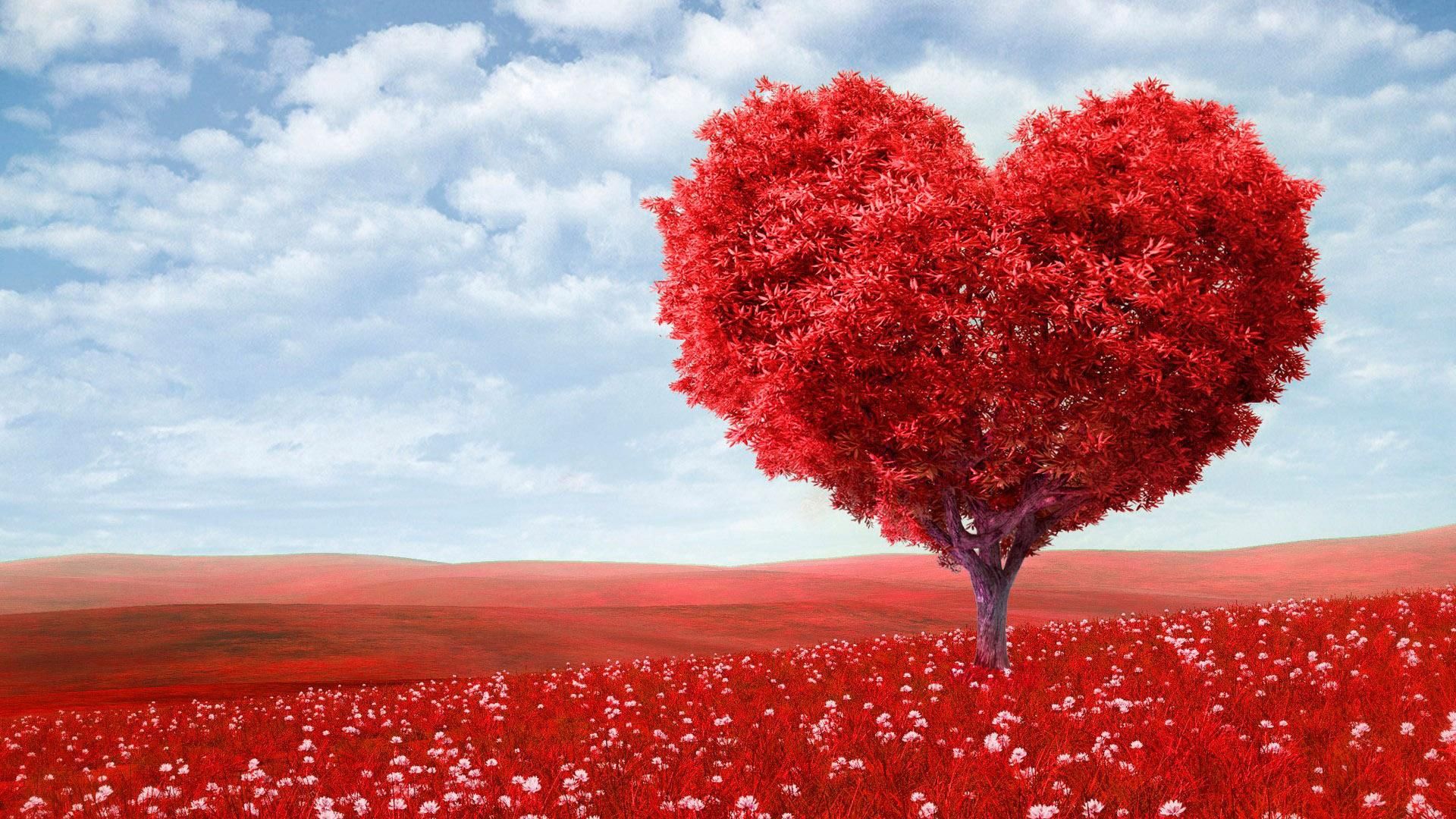 Як українці відсвяткували День закоханих