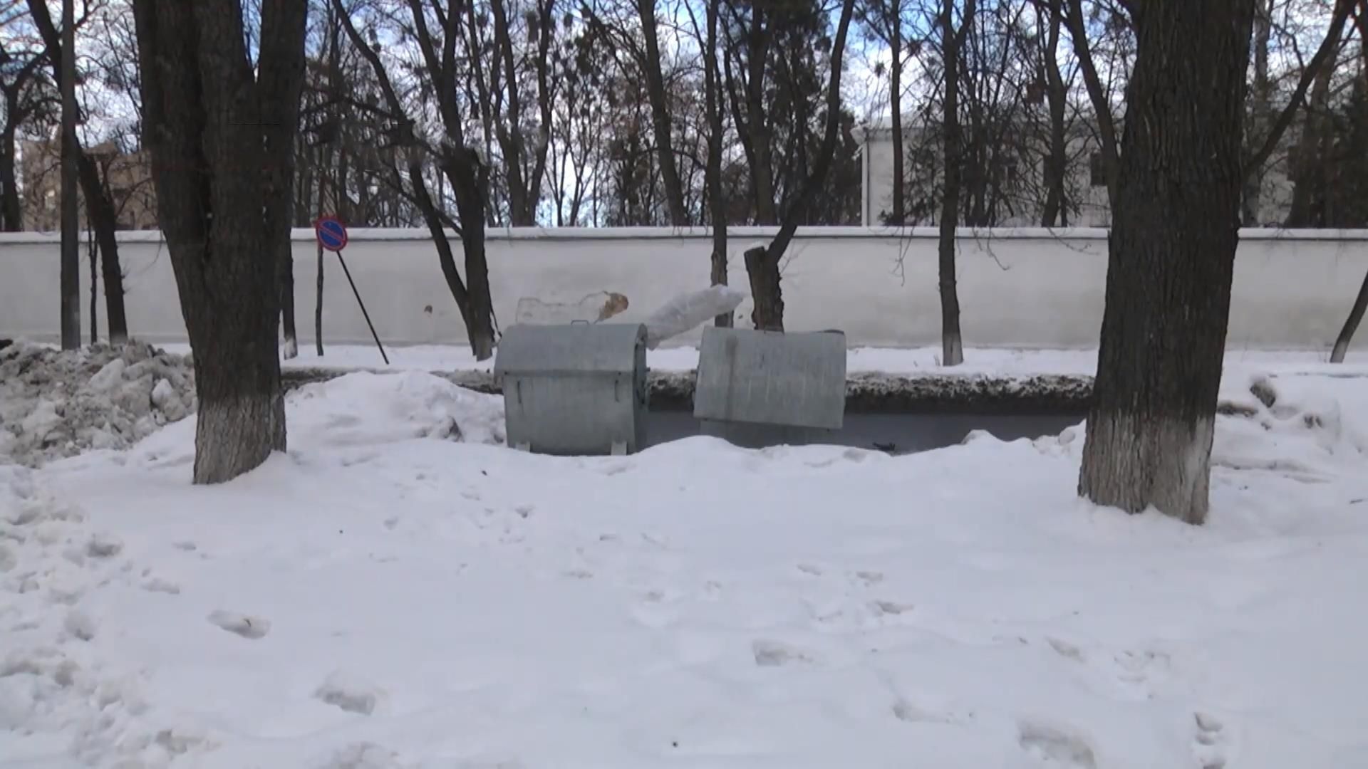 Родичі викинули у смітник ембріони ненароджених дітей Родичі викинули у смітник ембріони ненароджених дітей