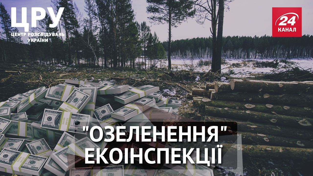 Журналісти знайшли "золоте дно" екоінспекції: резонансне розслідування