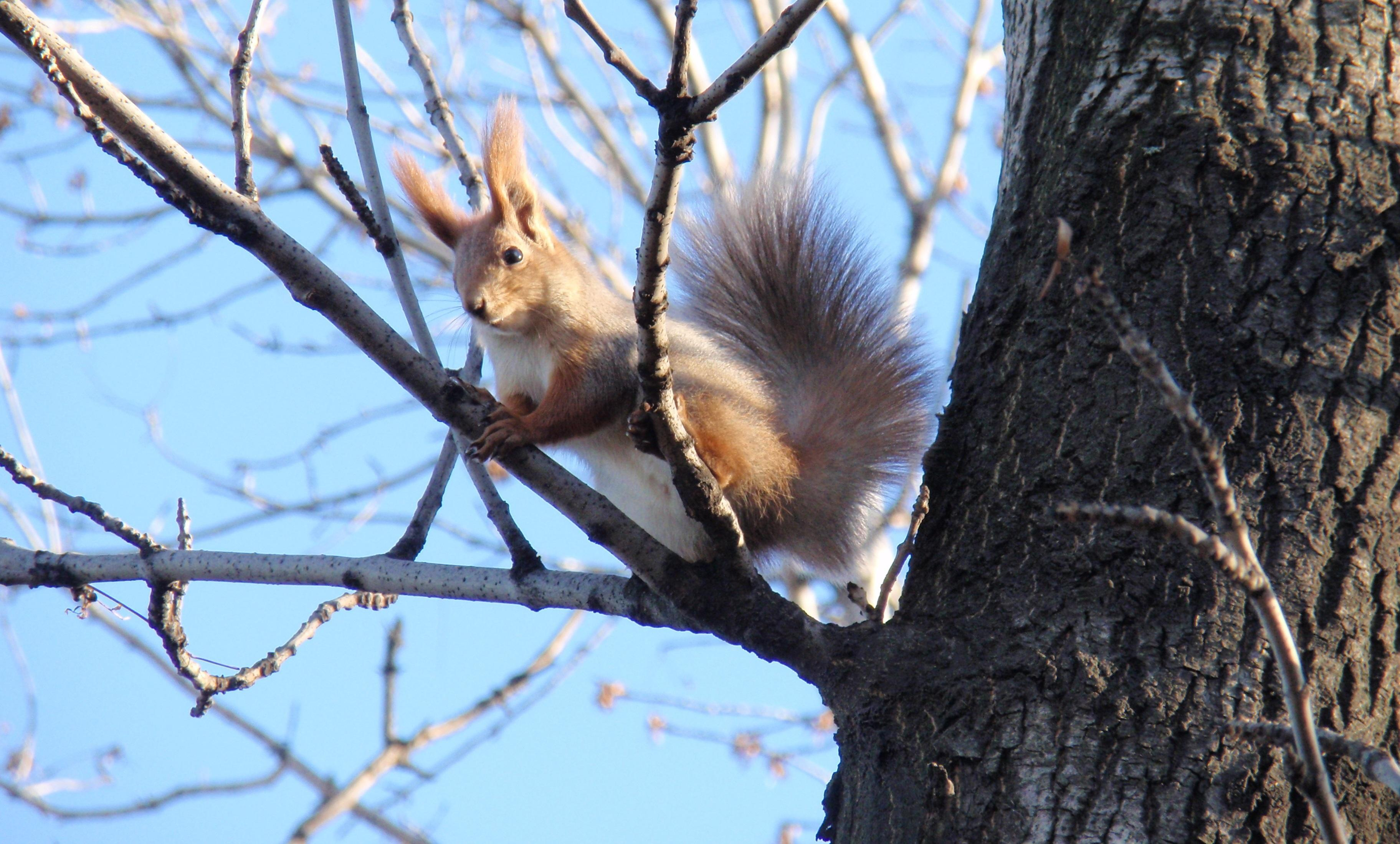 Почти весна: синоптики рассказали, какой будет погода в Украине