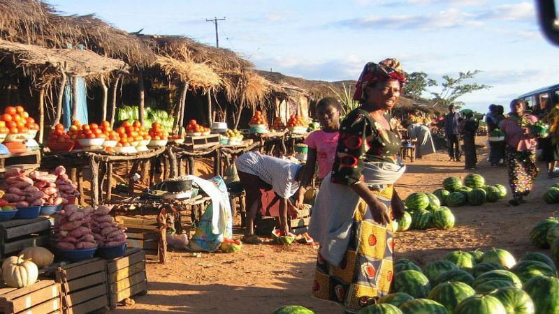 Загадкове вбивство українського лікаря в Африці: чи покарають винних Загадкове вбивство українського лікаря в Африці: чи покарають винних