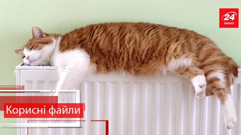 Корисні файли. Що таке "теплі кредити" і як їх отримати