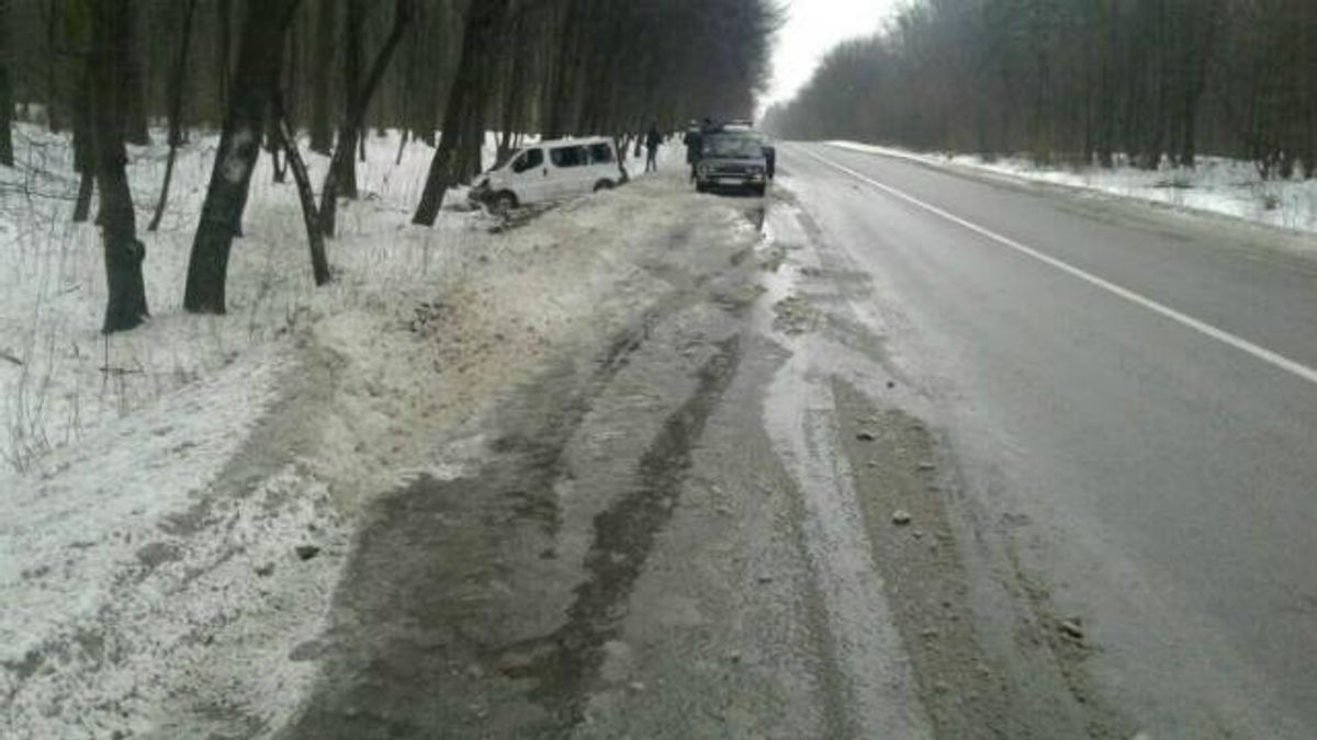 Микроавтобус сорвался в кювет на Львовщине: много травмированных