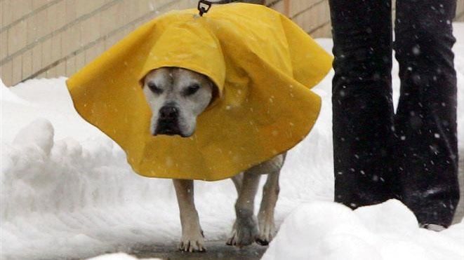 Весною і не пахне: невтішний прогноз погоди на найближчі дні Весною і не пахне: невтішний прогноз погоди на найближчі дні