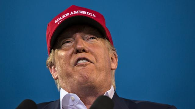 "Ядовитая" риторика Трампа задала угрожающий мировой тренд, – Amnesty International