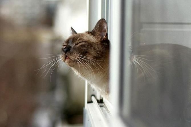 В Україні помітно зміниться погода В Україні помітно зміниться погода