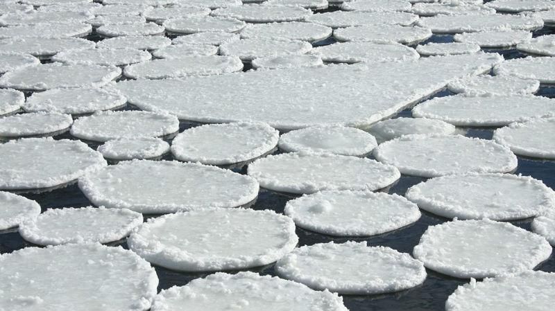 Странное природное явление под Полтавой: река покрылась круглыми льдинами Странное природное явление под Полтавой: река покрылась круглыми льдинами