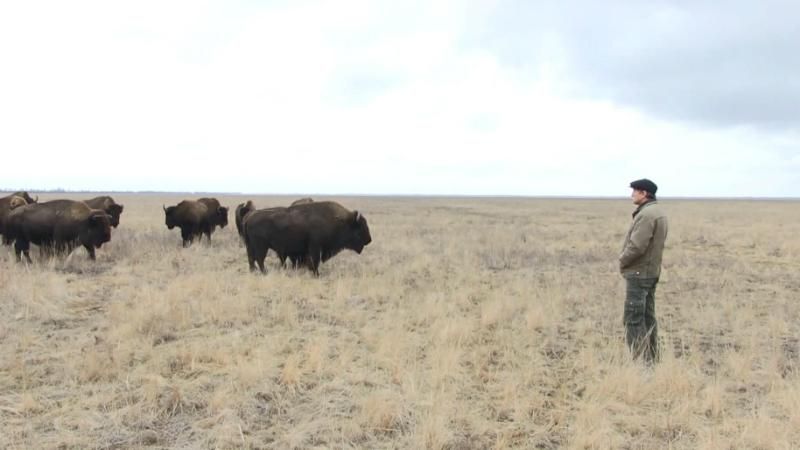 Новый закон Верховной Рады может уничтожить заповедники Украины Новый закон Верховной Рады может уничтожить заповедники Украины