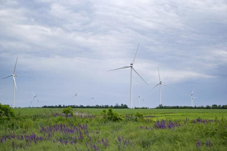 Развивать бизнес и экономику Украины не дают "прыгающие" правила, — эксперт Развивать бизнес и экономику Украины не дают "прыгающие" правила, — эксперт